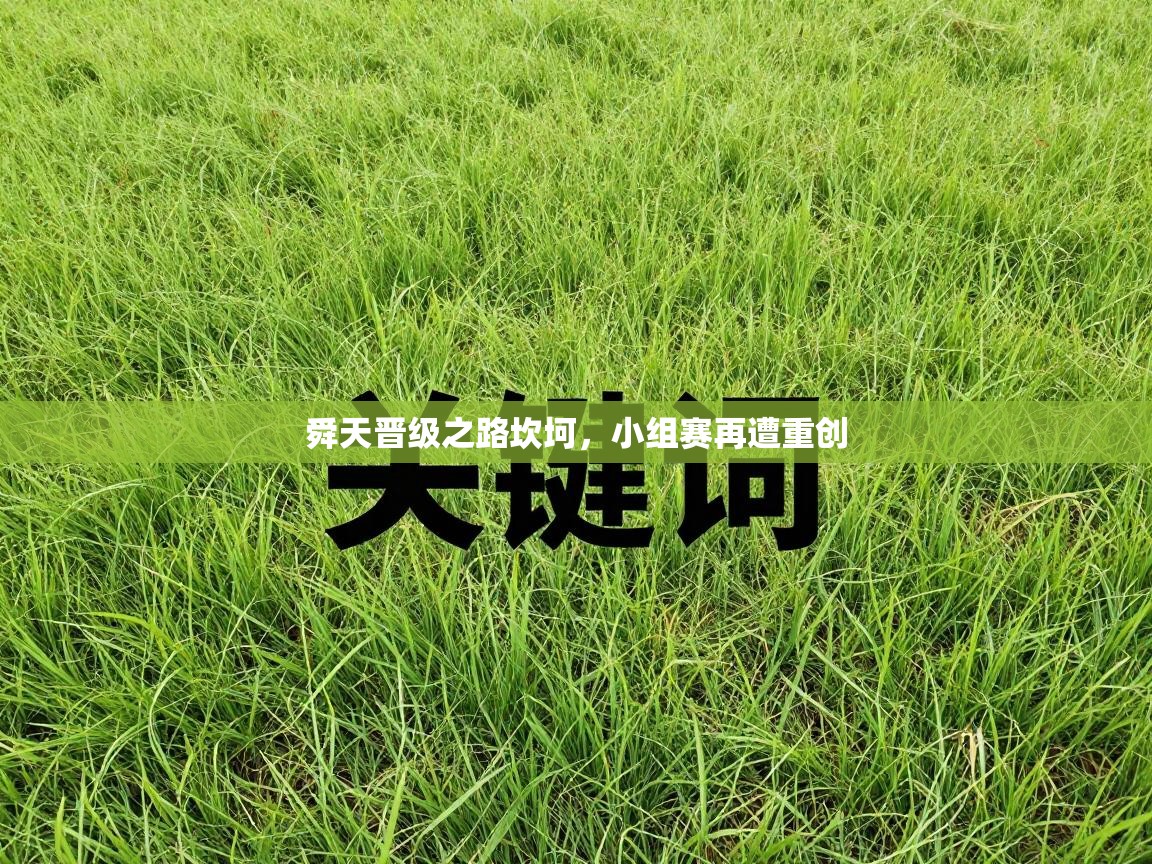 舜天晋级之路坎坷，小组赛再遭重创  第1张