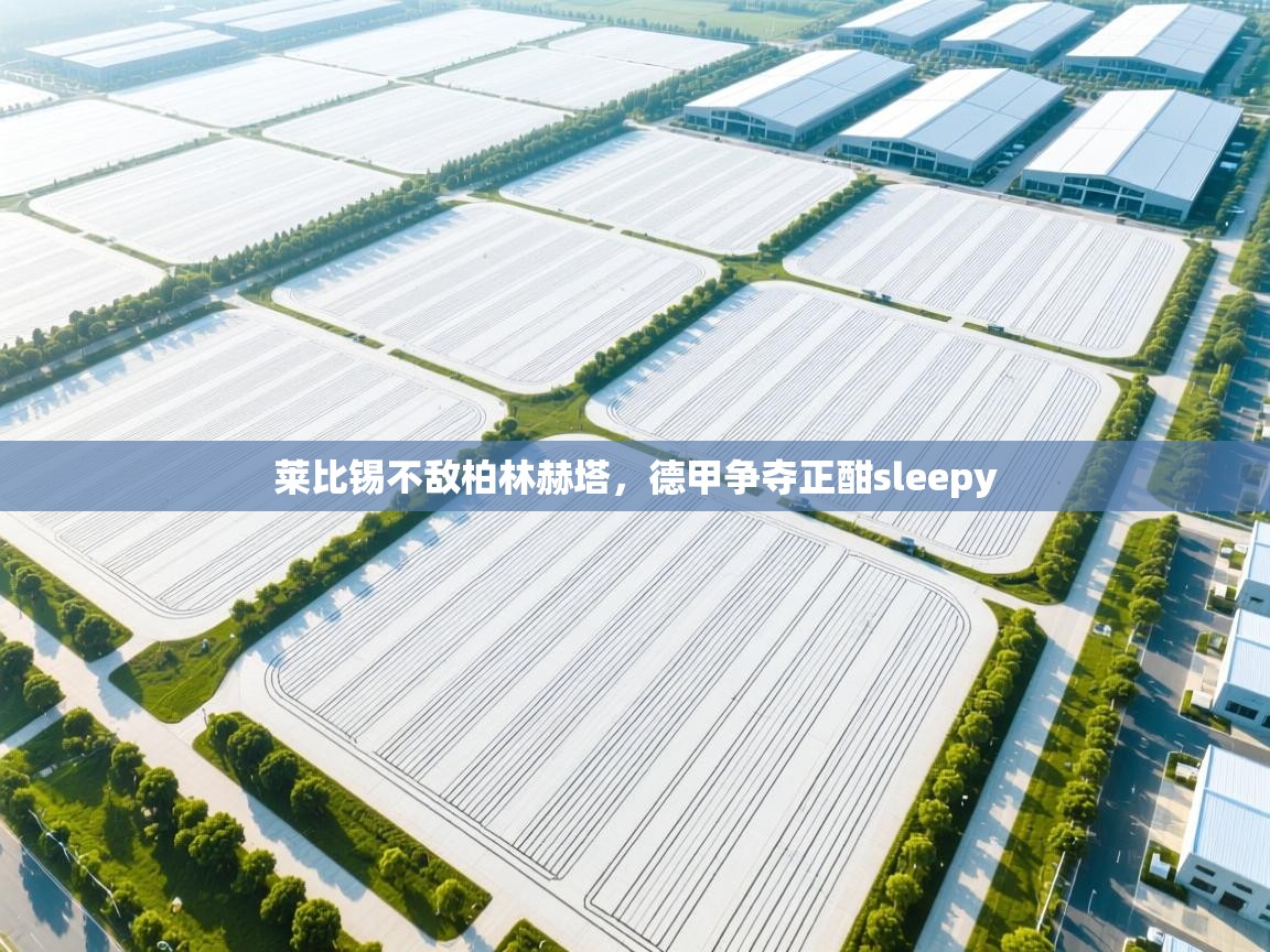 莱比锡不敌柏林赫塔，德甲争夺正酣sleepy  第1张