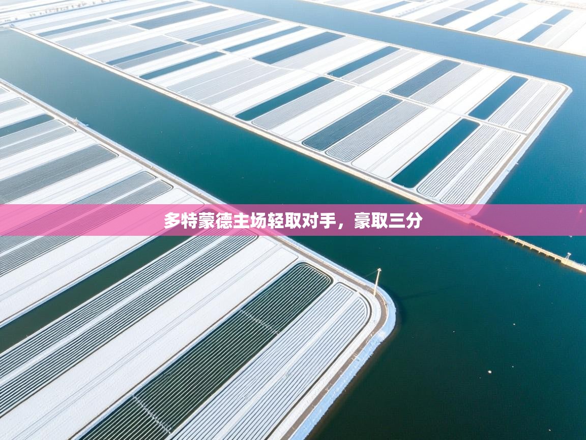 多特蒙德主场轻取对手，豪取三分  第2张