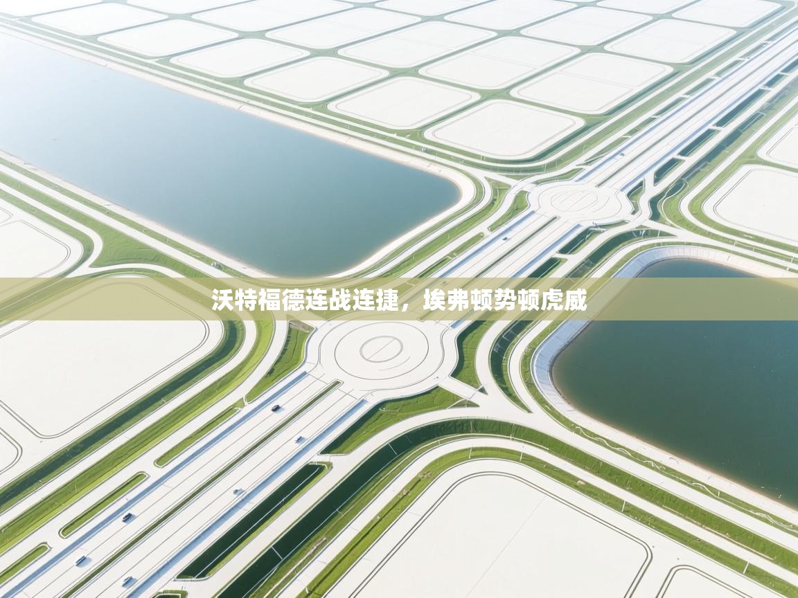 沃特福德连战连捷，埃弗顿势顿虎威  第1张