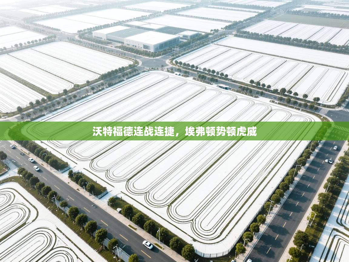 沃特福德连战连捷，埃弗顿势顿虎威  第2张