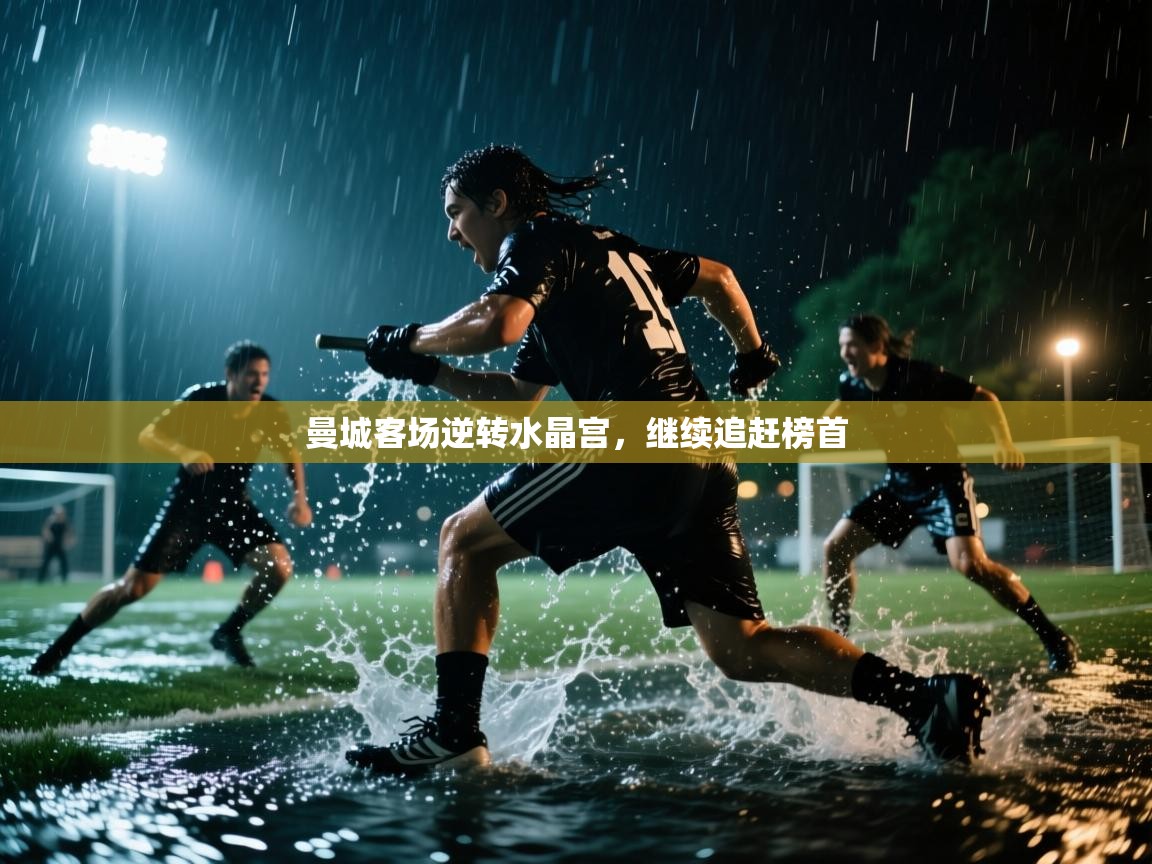 曼城客场逆转水晶宫，继续追赶榜首  第2张