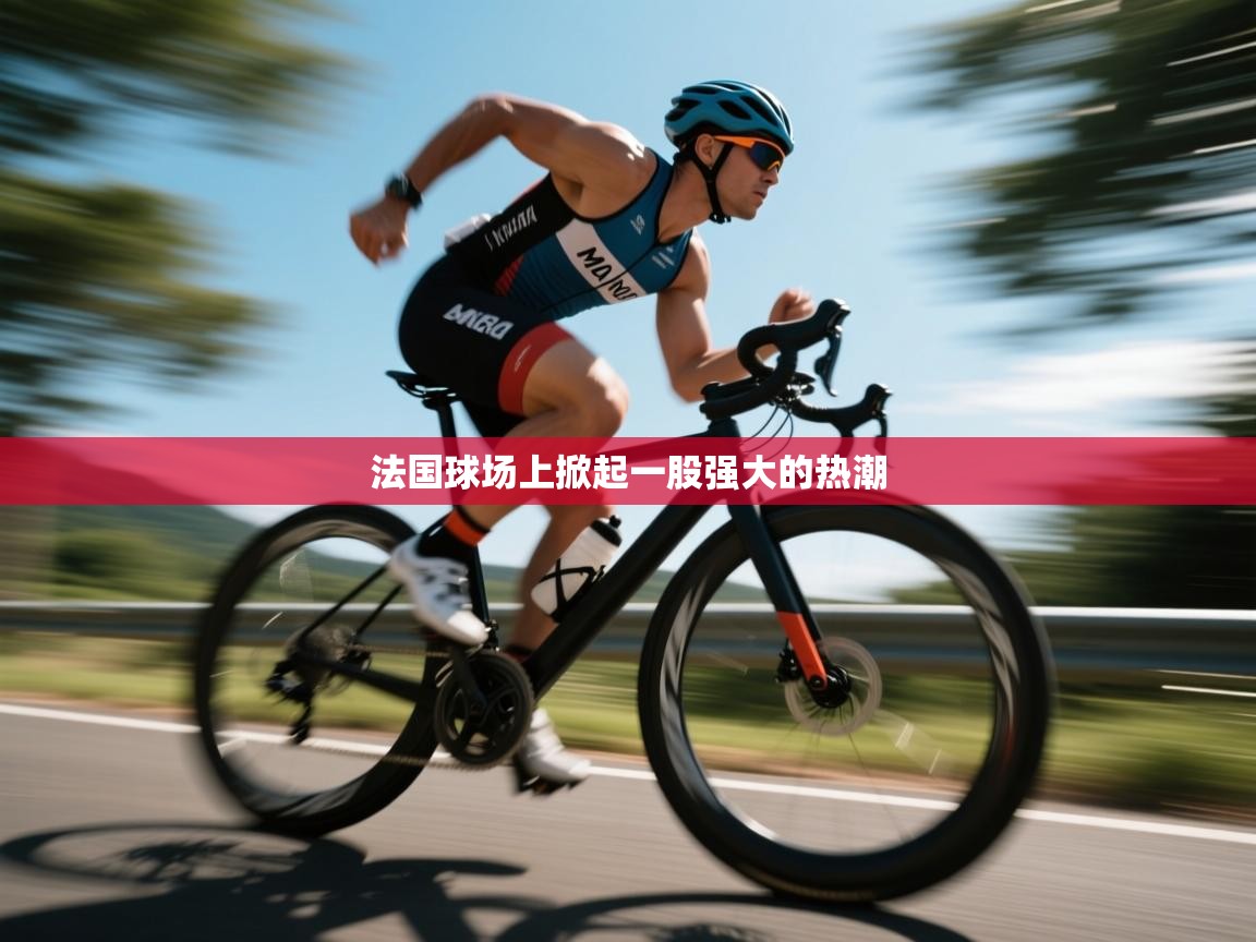 法国球场上掀起一股强大的热潮 第2张