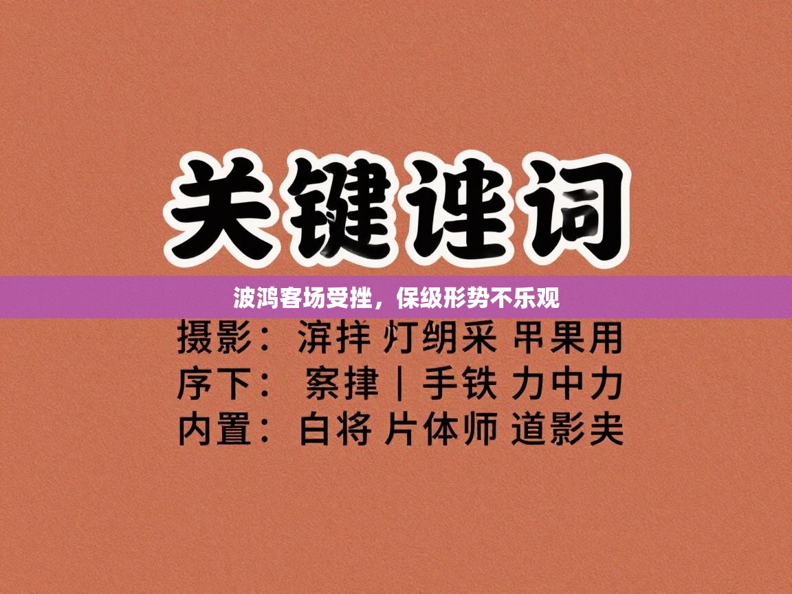 波鸿客场受挫，保级形势不乐观  第2张