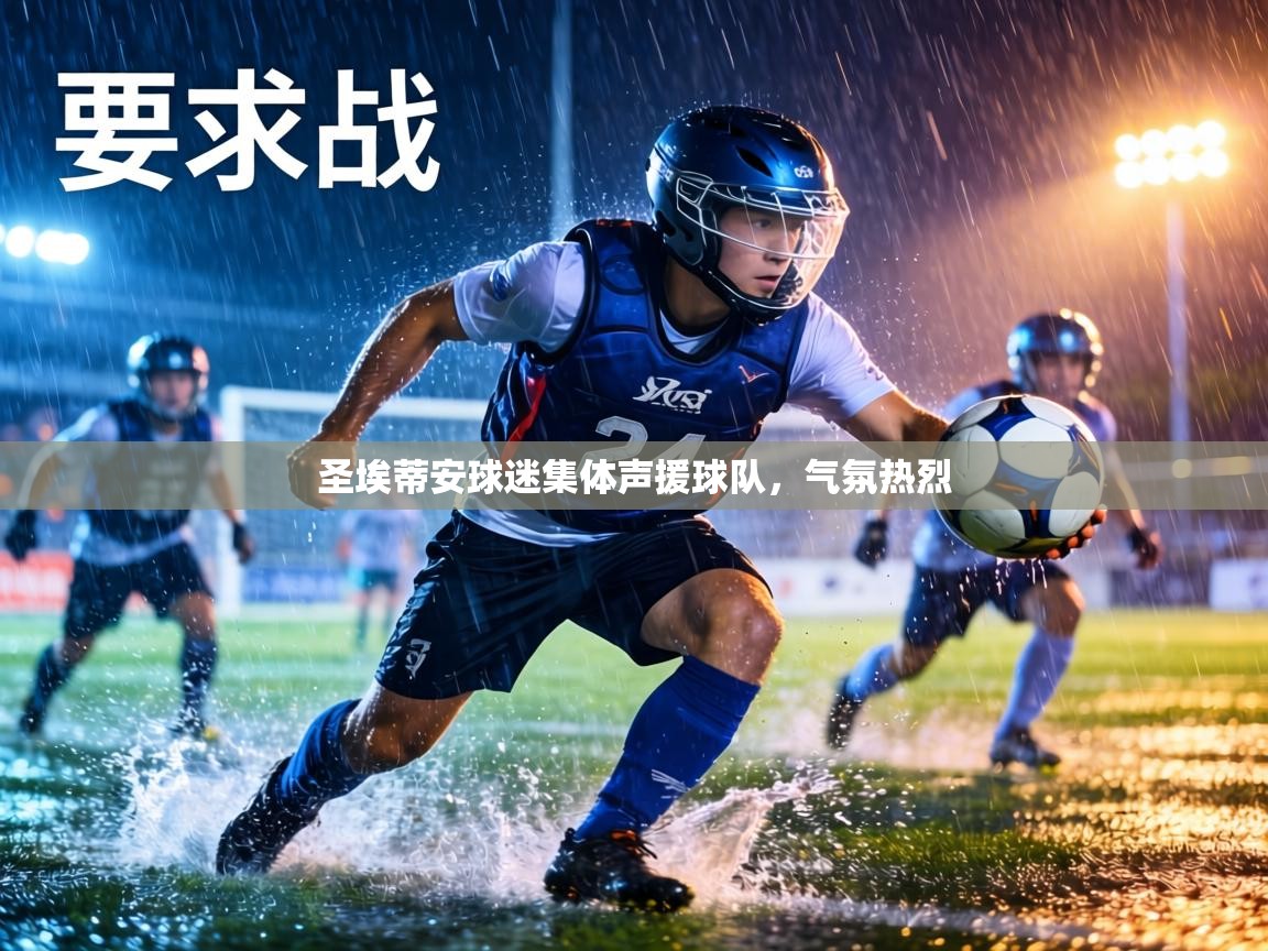 圣埃蒂安球迷集体声援球队,气氛热烈 第1张